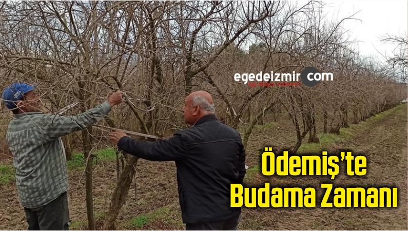 budama