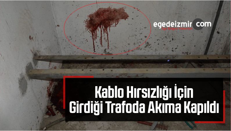 kablo