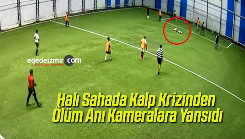 kalp