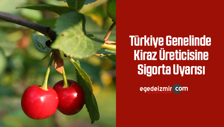 kiraz