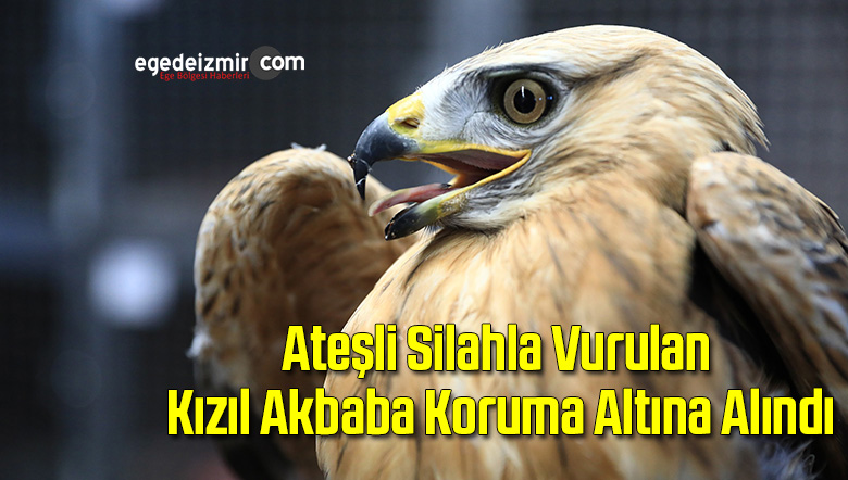 kızıl