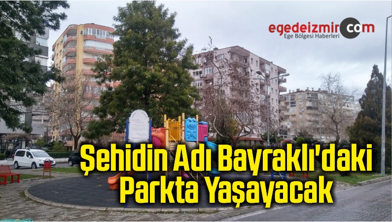 sehidin adi