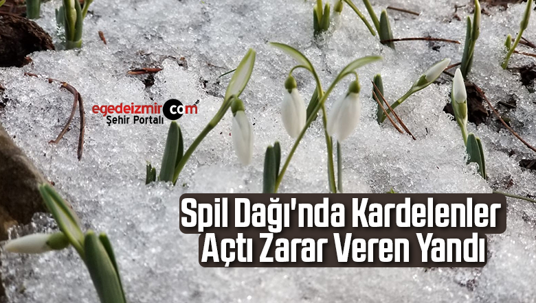 spil