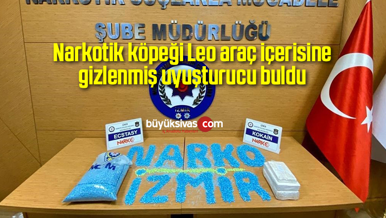 Narkotik köpeği Leo