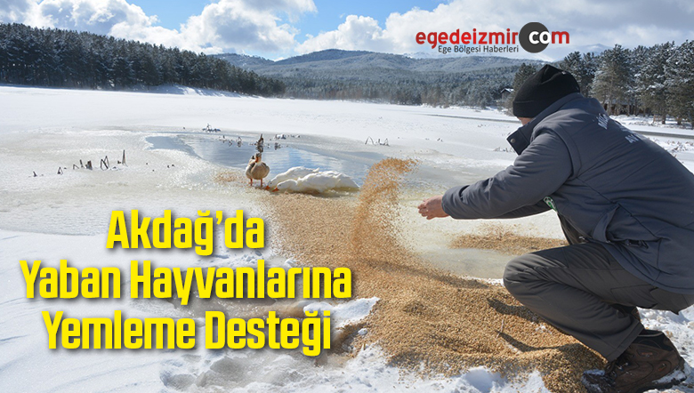 Yem Bırakıldı