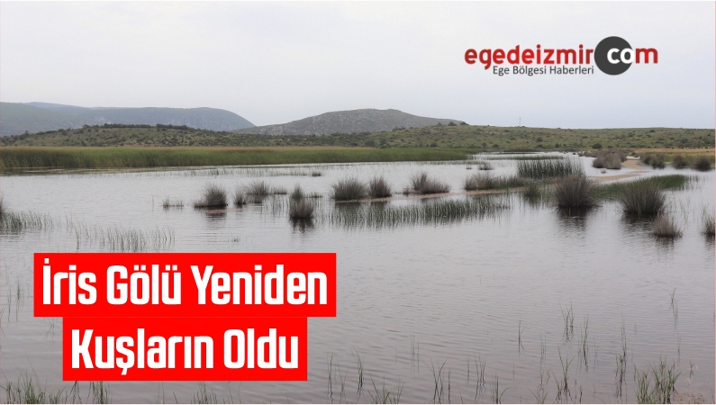 İris Gölü Yeniden Kuşların Oldu