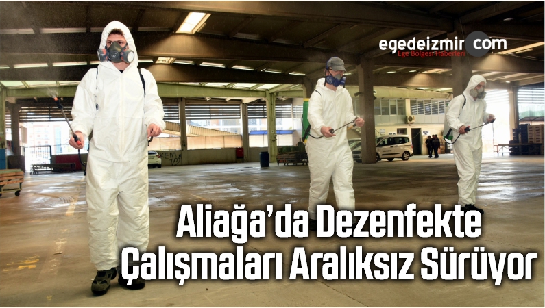 calısmaları