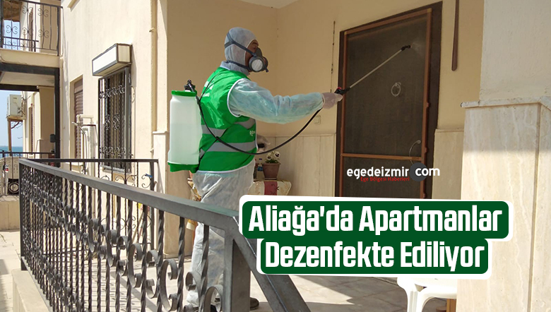 dezenfekte