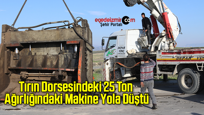 dorse