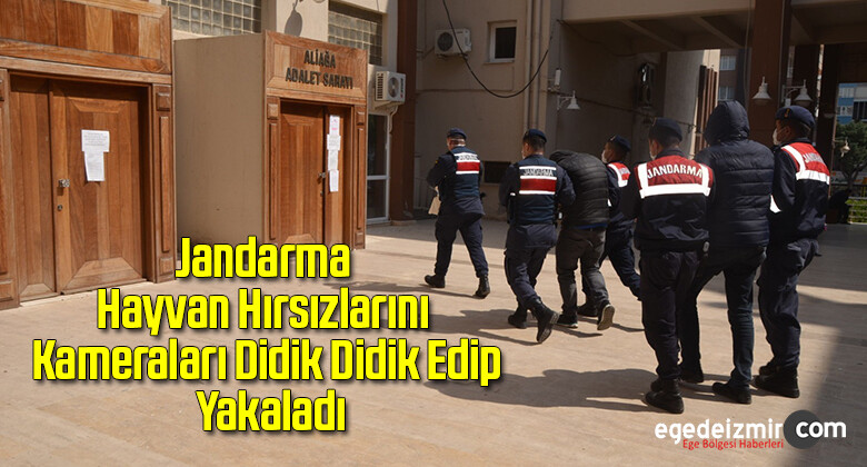 Jandarma Hayvan Hırsızlarını Kameraları Didik Didik Edip Yakaladı