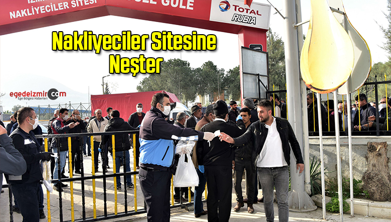 neşter