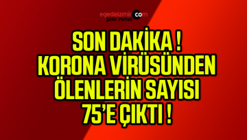 SON DAKİKA Korona Virüsünden Ölenlerin Sayısı 75’e Çıktı !