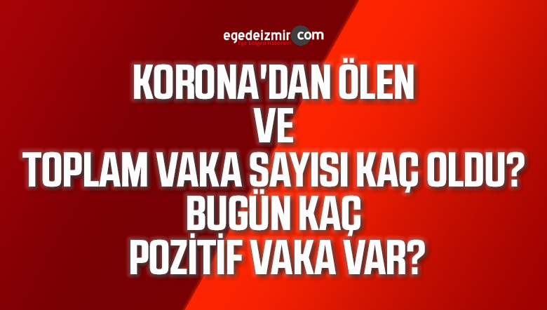 vaka sayısı