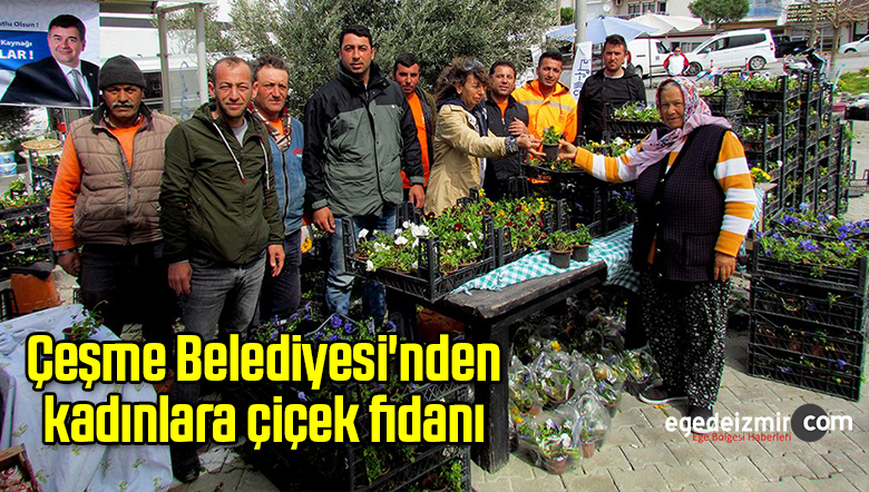 çiçek fidanı