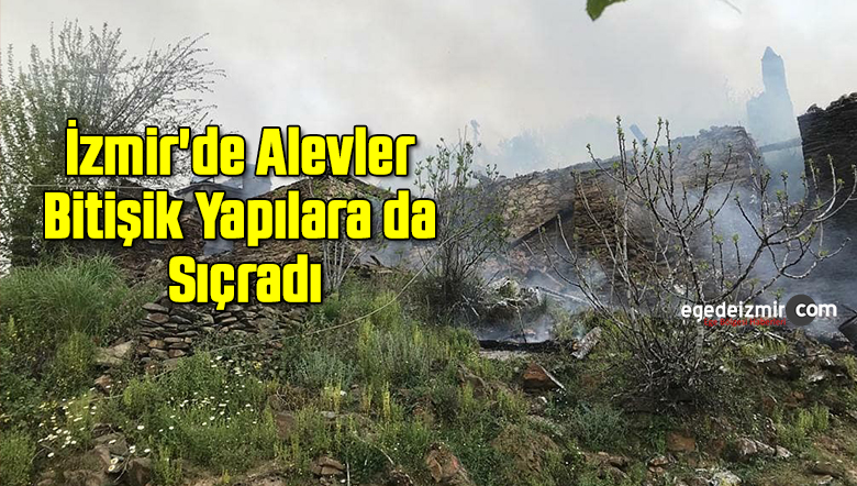ALEVLER
