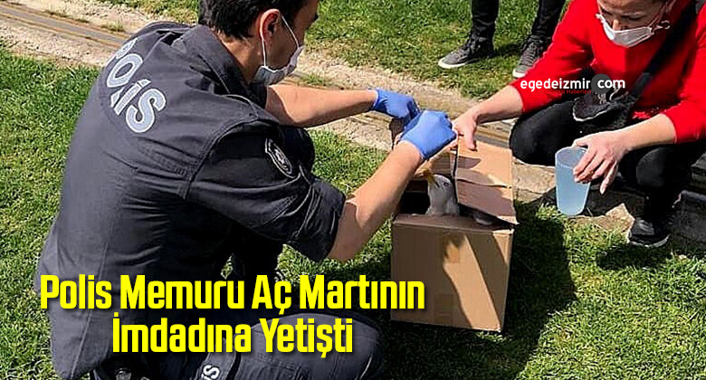İzmir’de Polis Memuru Aç Martının İmdadına Yetişti