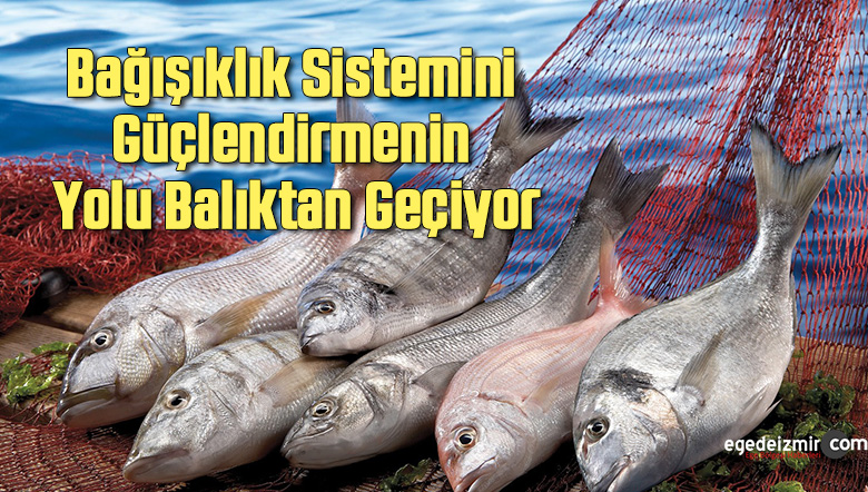bağışıklık