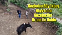 Kaybolan Büyükbaş Hayvanını Gazeteciler Yardımıyla Drone İle Buldu
