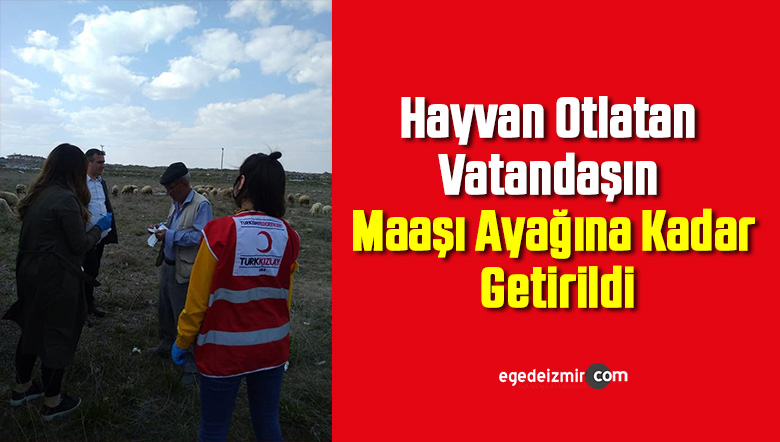 hayvan