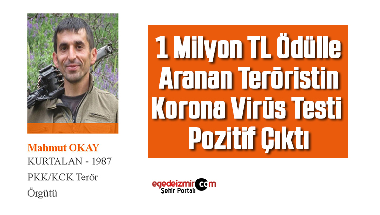 korona