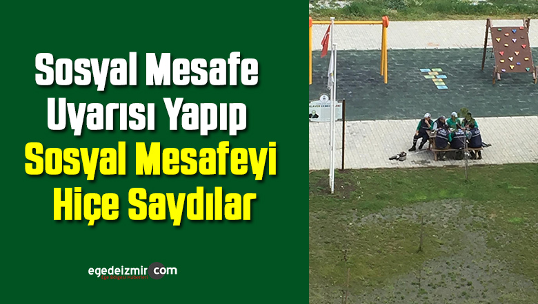 sosyal