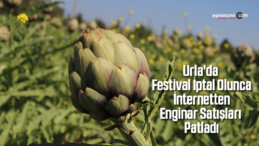 Urla’da Festival İptal Olunca İnternetten Enginar Satışları Patladı
