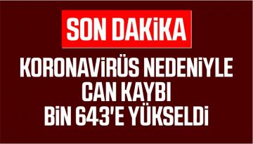 TÜRKİYE’DE KORONAVİRÜS(COV-2) NEDENİYLE CAN KAYBI BİN 643’E YÜKSELDİ