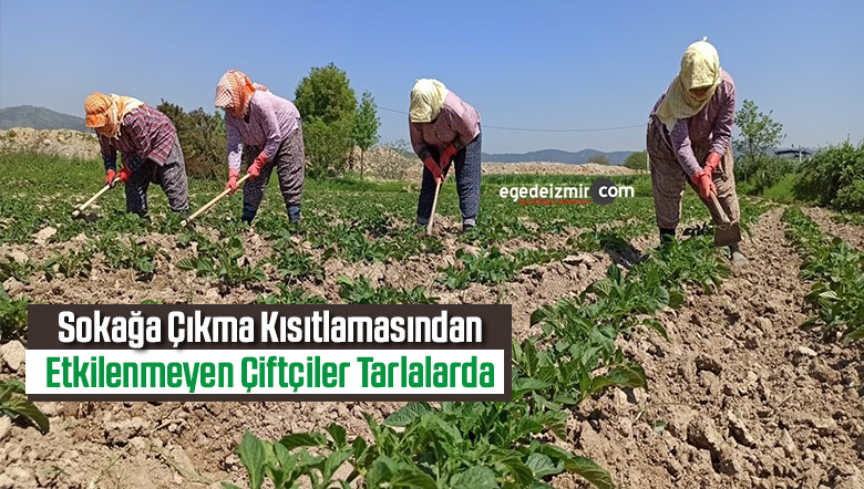 çiftçiler