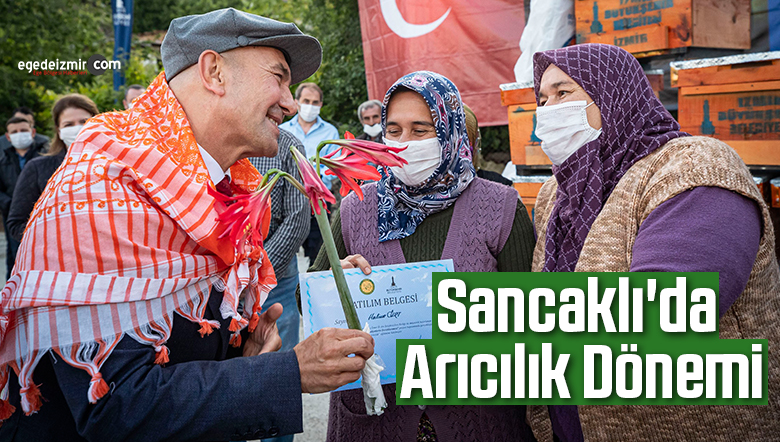 arı