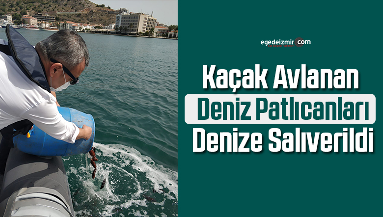 deniz