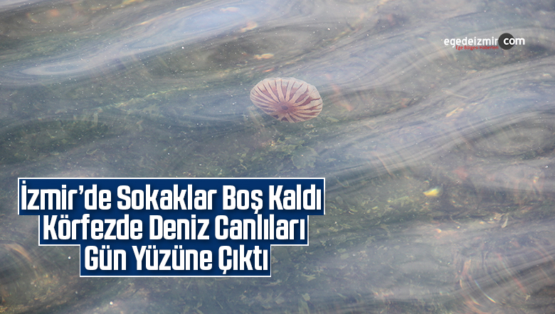deniz