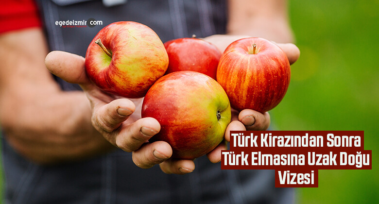 Türk Kirazından Sonra Türk Elmasına Uzak Doğu Vizesi