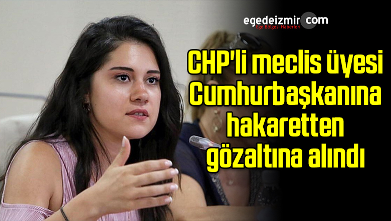 meclis üyesi