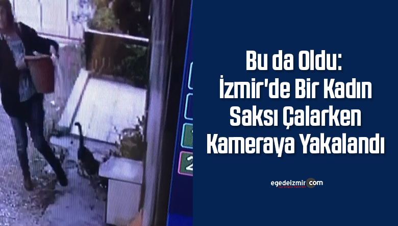 saksı