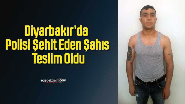 şehit