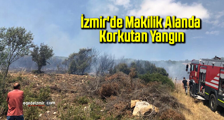 İzmir’de makilik alanda korkutan yangın