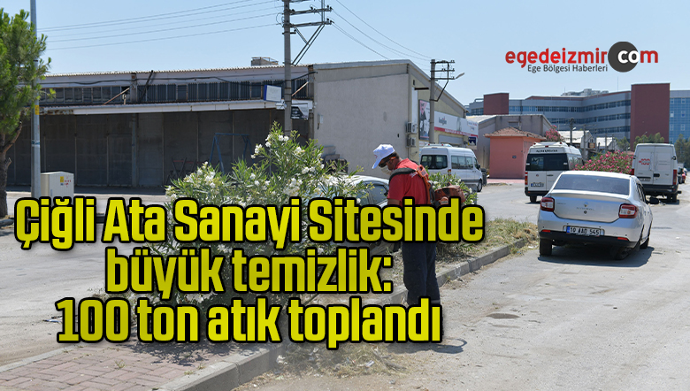 100 ton atık