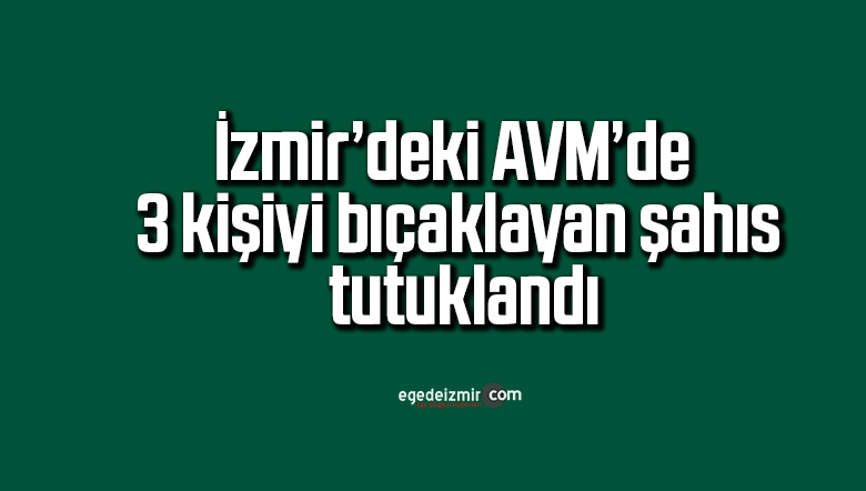 avm