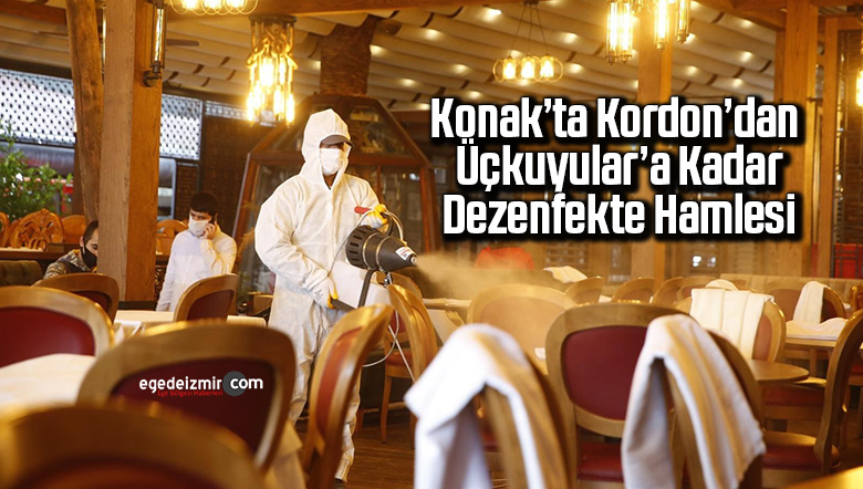 dezenfekte
