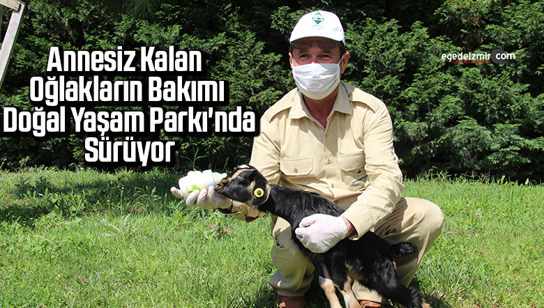doğal