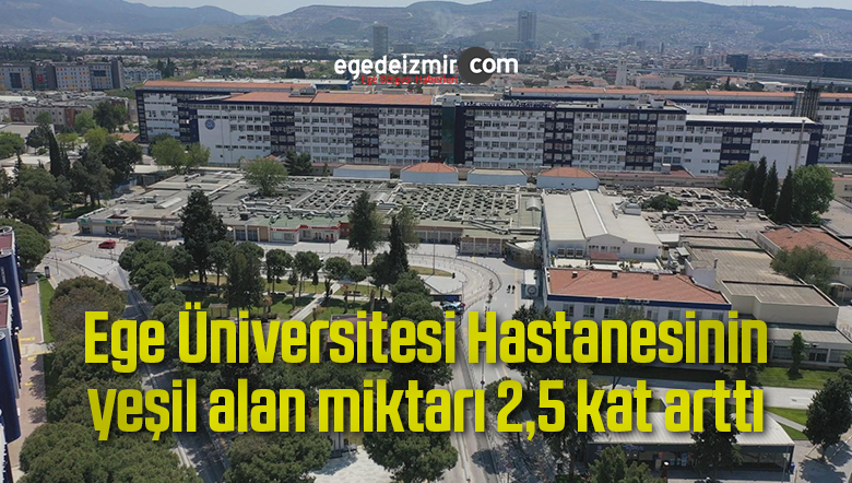 peyzaj çalışması