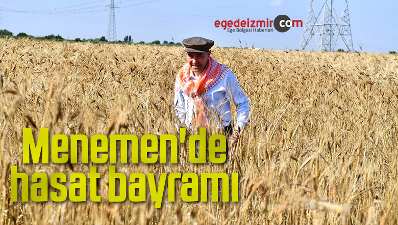 karakılçık buğdayının