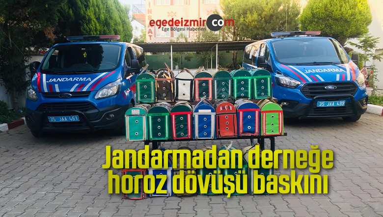 20 horoza
