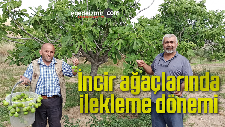 ilekleme işlemi