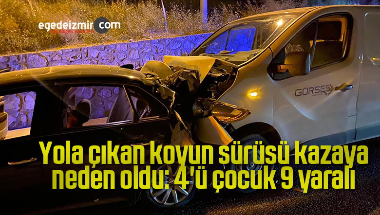 koyun sürüsünün