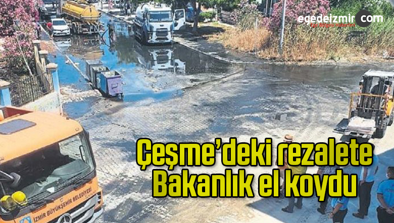 evsel atıklar