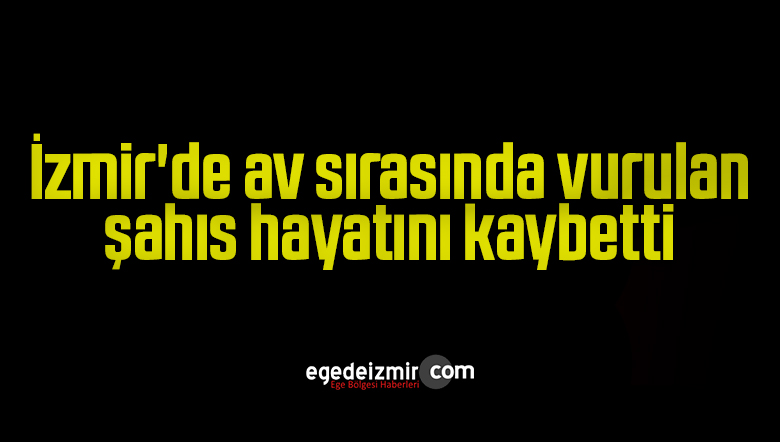 Domuz avında