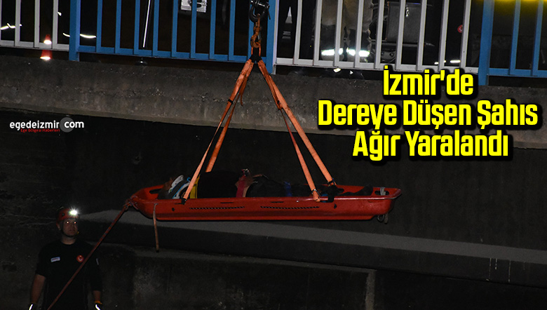 şahıs