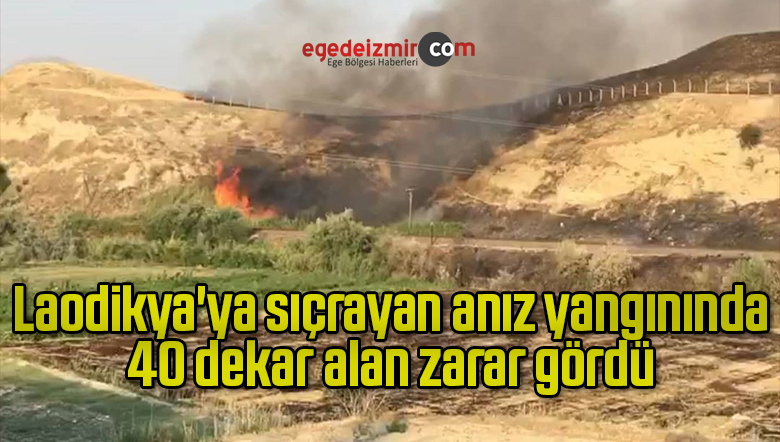 40 dekar alan