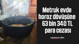 Metruk evde horoz dövüşüne 63 bin 340 TL para cezası